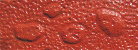 Tiles Wall