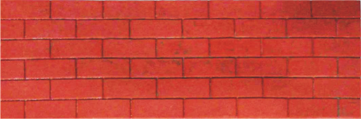 Wall Tile India